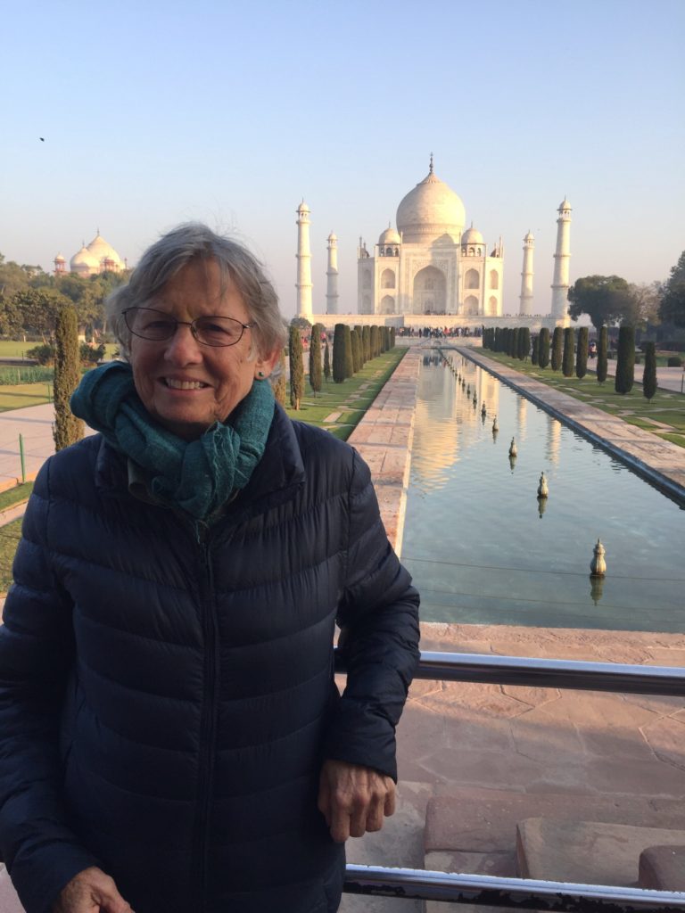 2018. Researching Indian history. Taj Majal, Agra, India